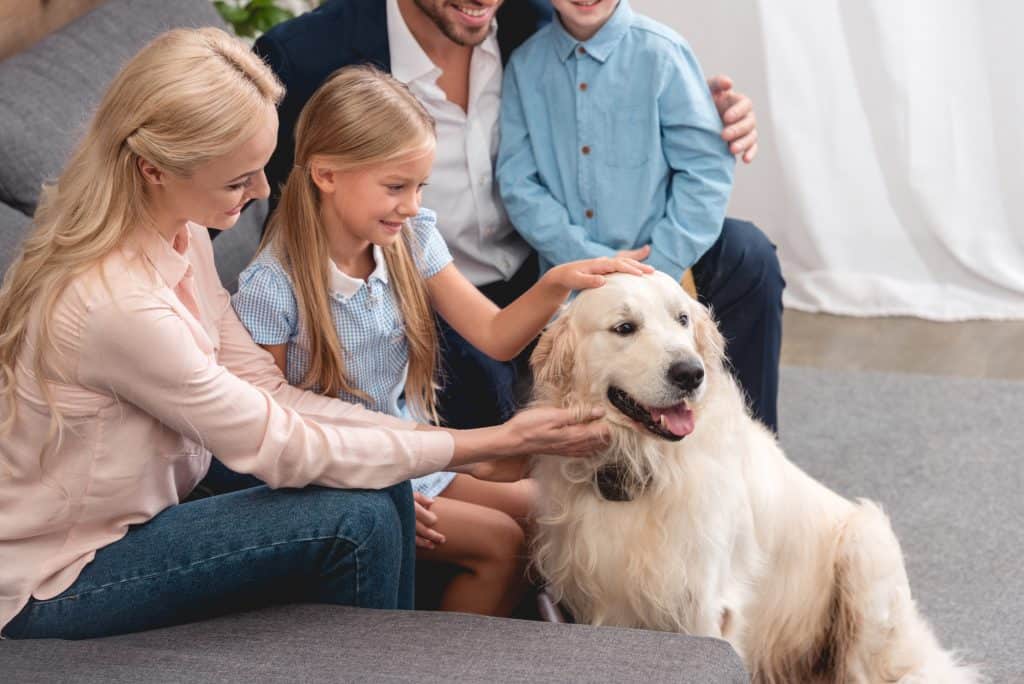 Family With A Dog
